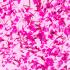Gel mit Trockenblüten Flower Gel №07, 4 ml